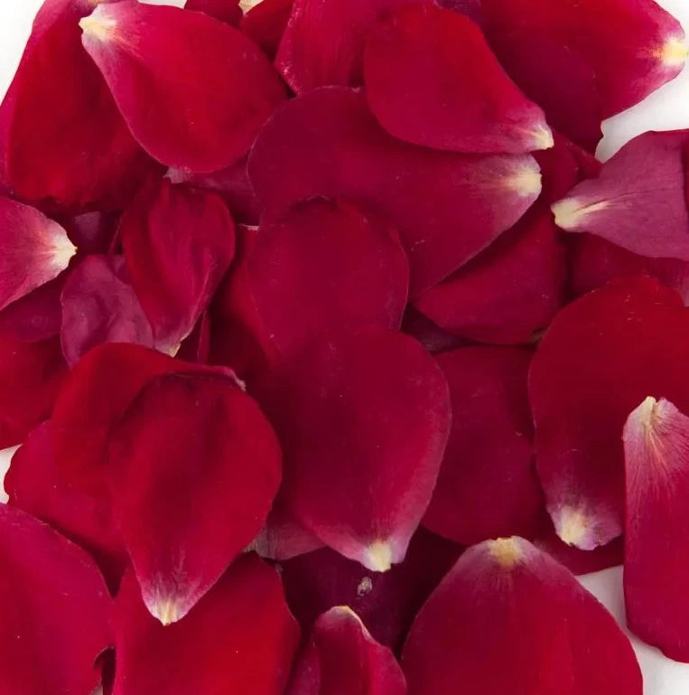 Fresh Rose Petals - Luxury & Romance